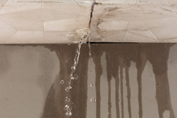 Professional Commercial Water Damage Restoration technician working in Islamorada, FL